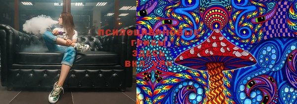 герыч Вязьма