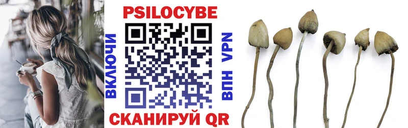 цены наркотик  darknet наркотические препараты  Псилоцибиновые грибы Psilocybine cubensis  Печоры  KRAKEN ссылка 